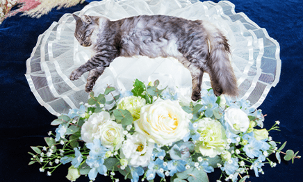 祭壇設営イメージロミオコース